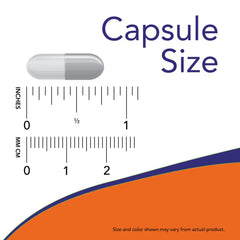 Melatonin, Maximum Strength 20 mg Veg Capsules