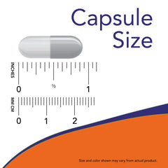 Lion's Mane 500 mg Veg Capsules